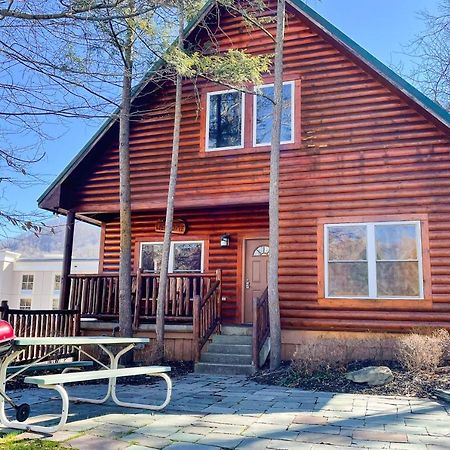 Black Bear Hideaway Cabin 蓋特林堡 外观 照片