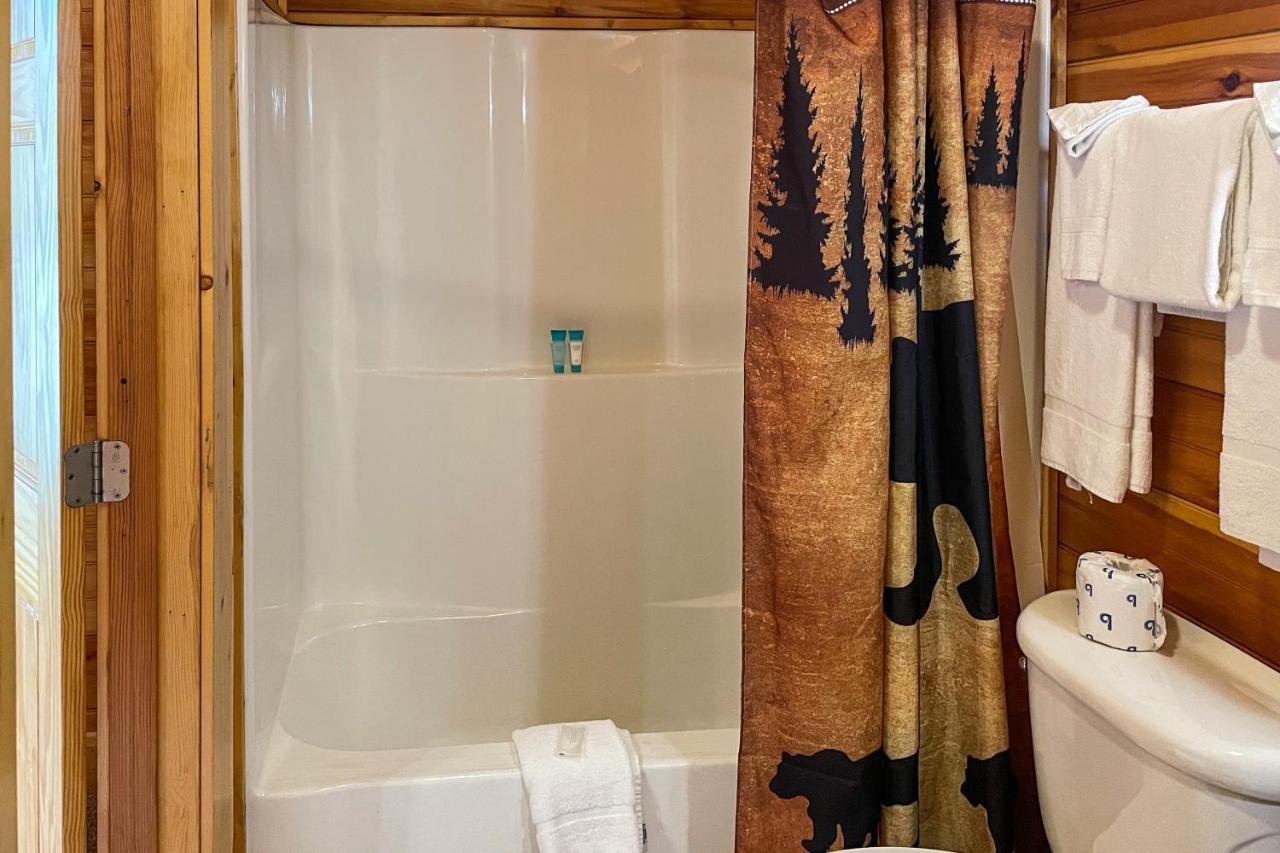 Black Bear Hideaway Cabin 蓋特林堡 外观 照片